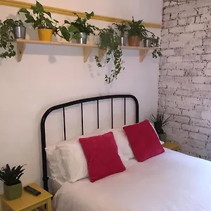 Homestay Clive Road, Cardiff
